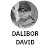 Obrázek pro kategorii Dalibor David